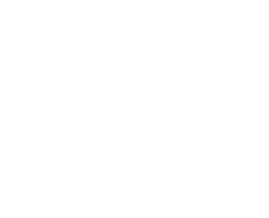 localtonet logo